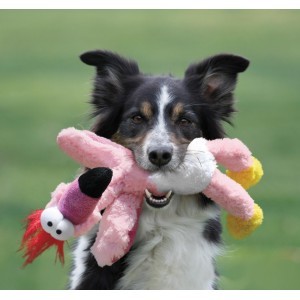 Kong Wild Knots per cane