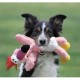 Kong Wild Knots per cane