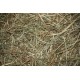 Versele-Laga Natural Hay – fieno per conigli e roditori  