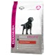 Eukanuba Cane Labrador Retriever