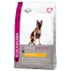 Eukanuba Cane Pastore Tedesco