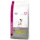 Eukanuba Adult Jack Russell Terriër per cane