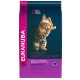 Eukanuba Kitten al pollo per gattino