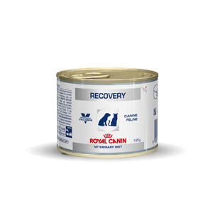 Royal Canin Veterinary Diet Recovery (scatola) per cane e gatti