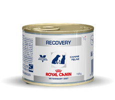 Royal Canin Veterinary Diet Recovery (scatola) per cane e gatti