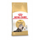 Royal Canin per gatto Persiano