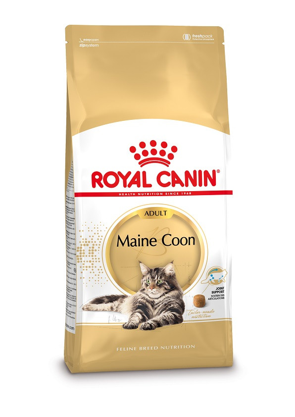 Royal Canin Gatto Maine Coon 31 Adult