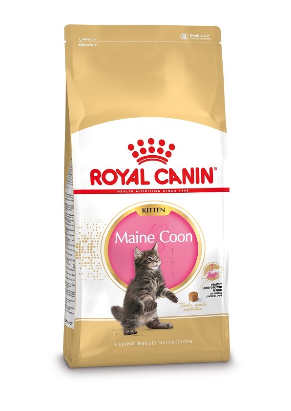 Immagine di 2 x 10 kg Royal Canin gattino Maine Coon