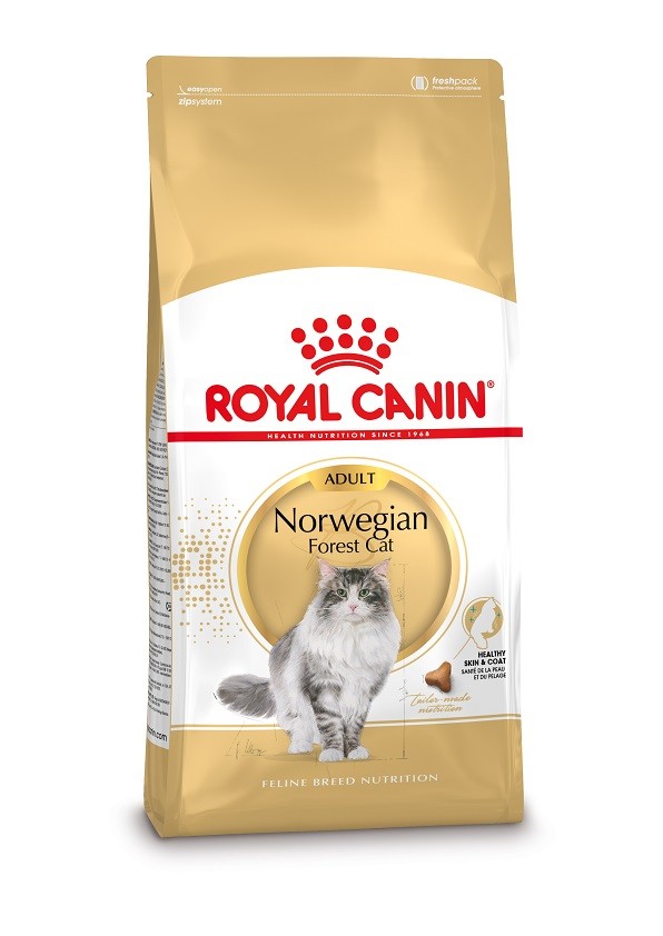 Royal Canin Gatto delle Foreste Norvegesi