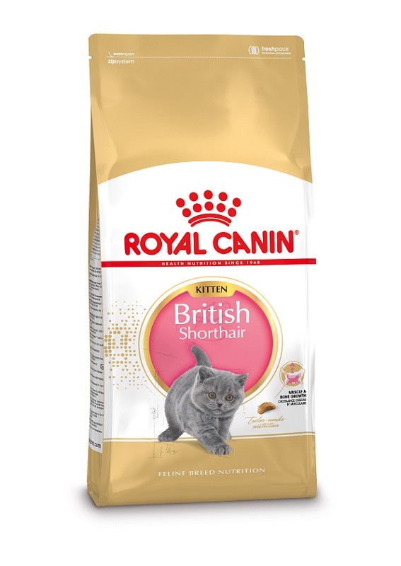 Royal Canin Gattino British Shorthair