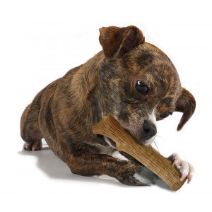 Petstages Dogwood Bastone per cane