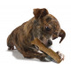Petstages Dogwood Bastone per cane