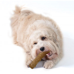 Petstages Dogwood Bastone per cane