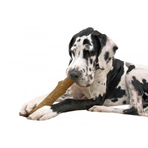 Petstages Dogwood Bastone per cane