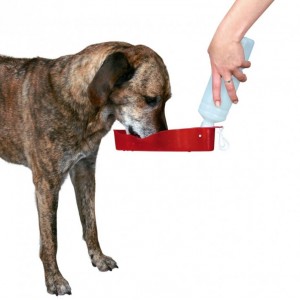 Borraccia da viaggio per cane