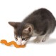 Petstages Orka Wiggle Worm per gatto