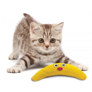 Catnip Boomerang Buddy per animali domestici