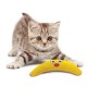 Catnip Boomerang Buddy per animali domestici