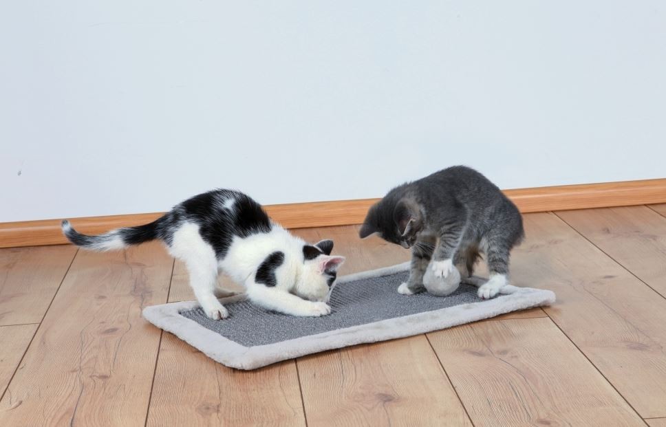 Trixie tappetino tiragraffi per gatti