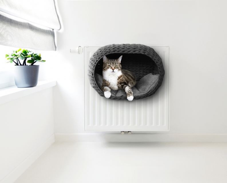Letto Ebi Termosifone alba Nero per gatti
