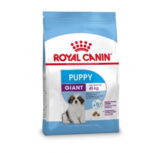 Royal Canin Giant Puppy per cane