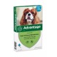Advantage spot-on Nr. 100 antiparassitario per cani (4 - 10 kg)