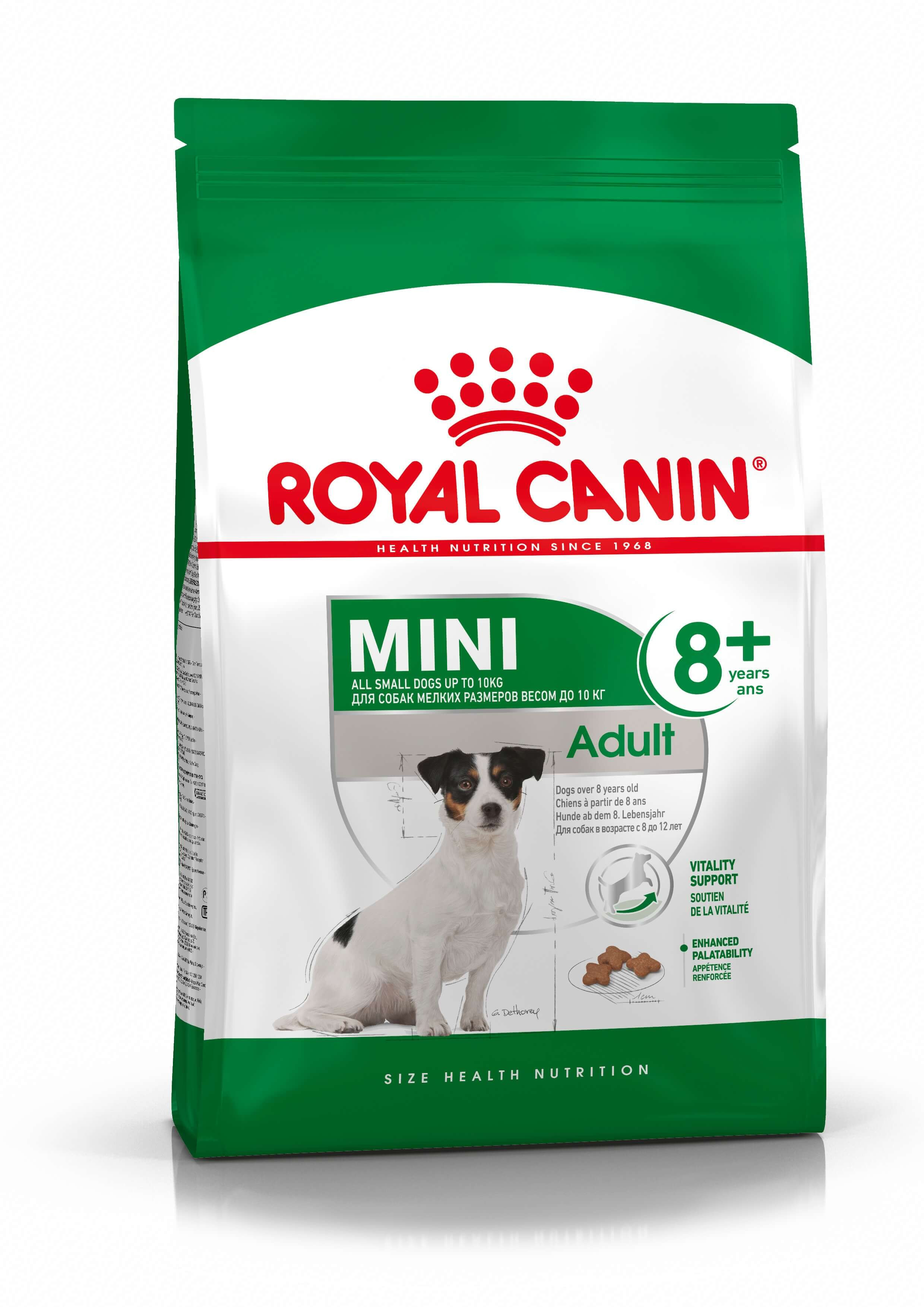 Royal Canin Mini Adult 8+ Cane