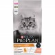 Pro Plan Adult Derma Care con salmone per gatto