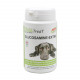 PhytoTreat Glucosamina-Extra supplemento per cani
