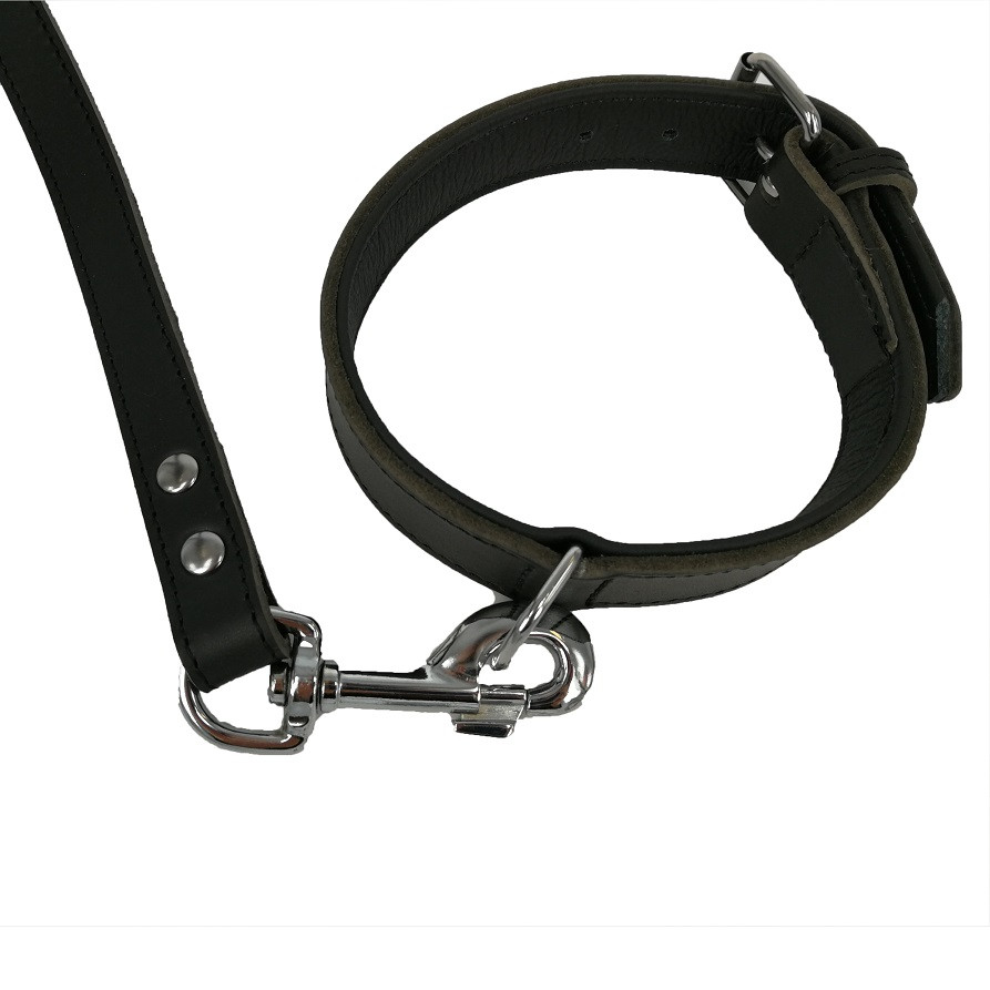 Collare Retriever 1 Pezzi Guinzaglio Forazione Per Retriever, 150