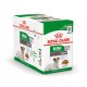 Royal Canin Mini Ageing 12+ cibo umido per cane