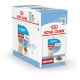 Royal Canin Medium Puppy cibo umido per cane