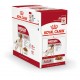 Royal Canin Medium Adult cibo umido per cane