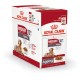 Royal Canin Medium Ageing 10+ Wet per cane