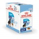 Royal Canin Maxi Puppy cibo umido per cane