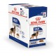 Royal Canin Maxi Adult cibo umido per cane