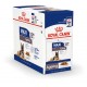 Royal Canin Maxi Ageing 8+ cibo umido per cane