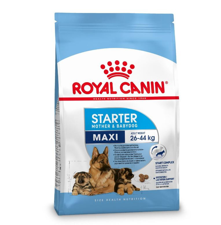 Royal Canin Maxi Starter Mother and Babydog per cane