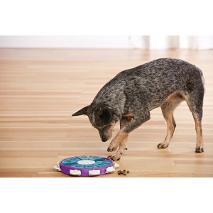 Nina Ottenson Dog Twister Purple