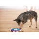 Nina Ottenson Dog Twister Purple
