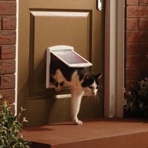 Staywell Original Small Pet Door Gattaiola