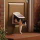 Staywell Original Small Pet Door Gattaiola
