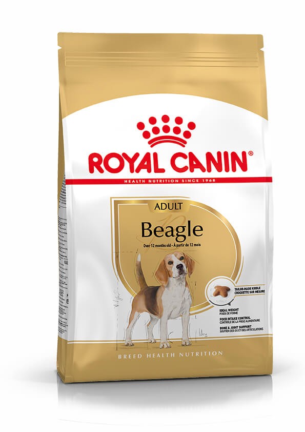 Royal Canin Adult Beagle cibo per cane