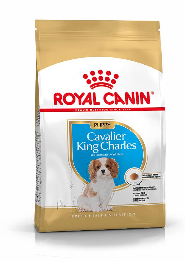 Royal Canin Puppy Cavalier King Charles cibo per cane