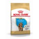 Royal Canin Puppy Cocker Spaniel cibo per cane