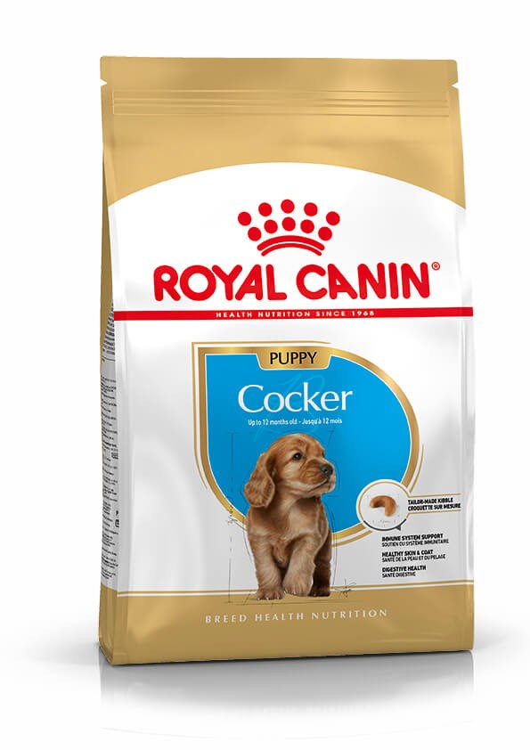 Royal Canin Puppy Cocker Spaniel cibo per cane