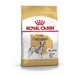 Royal Canin Adult Dalmata cibo per cane