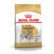 Royal Canin Adult Dalmata cibo per cane