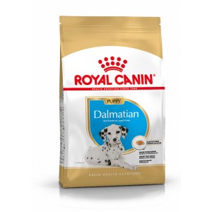 Royal Canin Puppy Dalmata cibo per cane