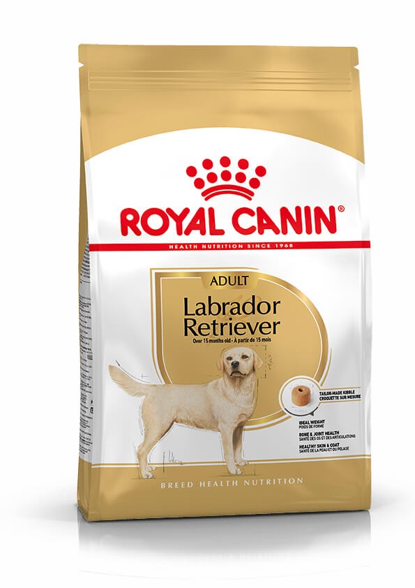 Royal Canin Adult Labrador Retriever cibo per cane